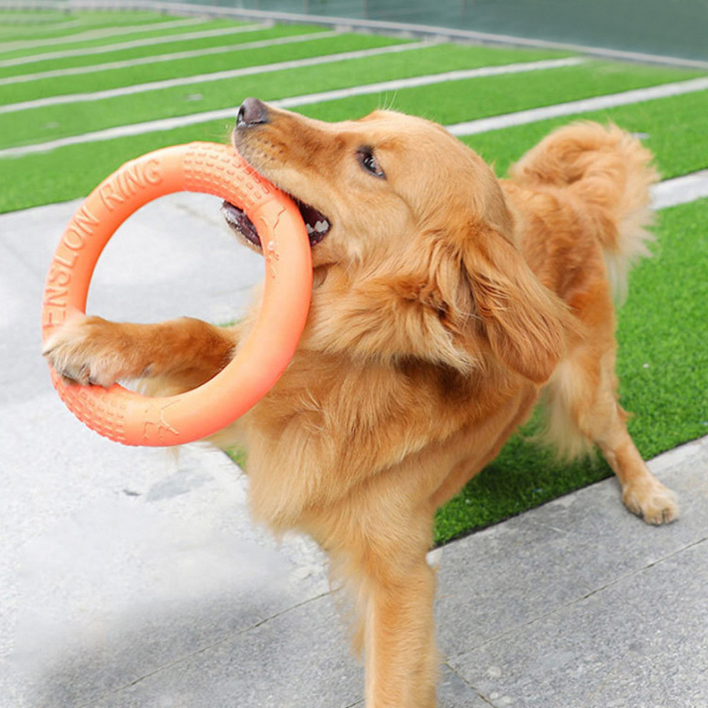 1pc Orange Dog Toys Pet Flying - Flying Disc Dog Training Toy recensione e prezzo