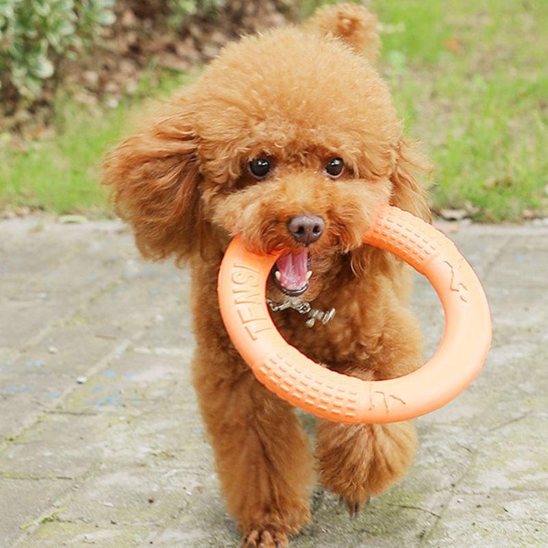 1pc Orange Dog Toys Pet Flying - Flying Disc Dog Training Toy recensione e prezzo
