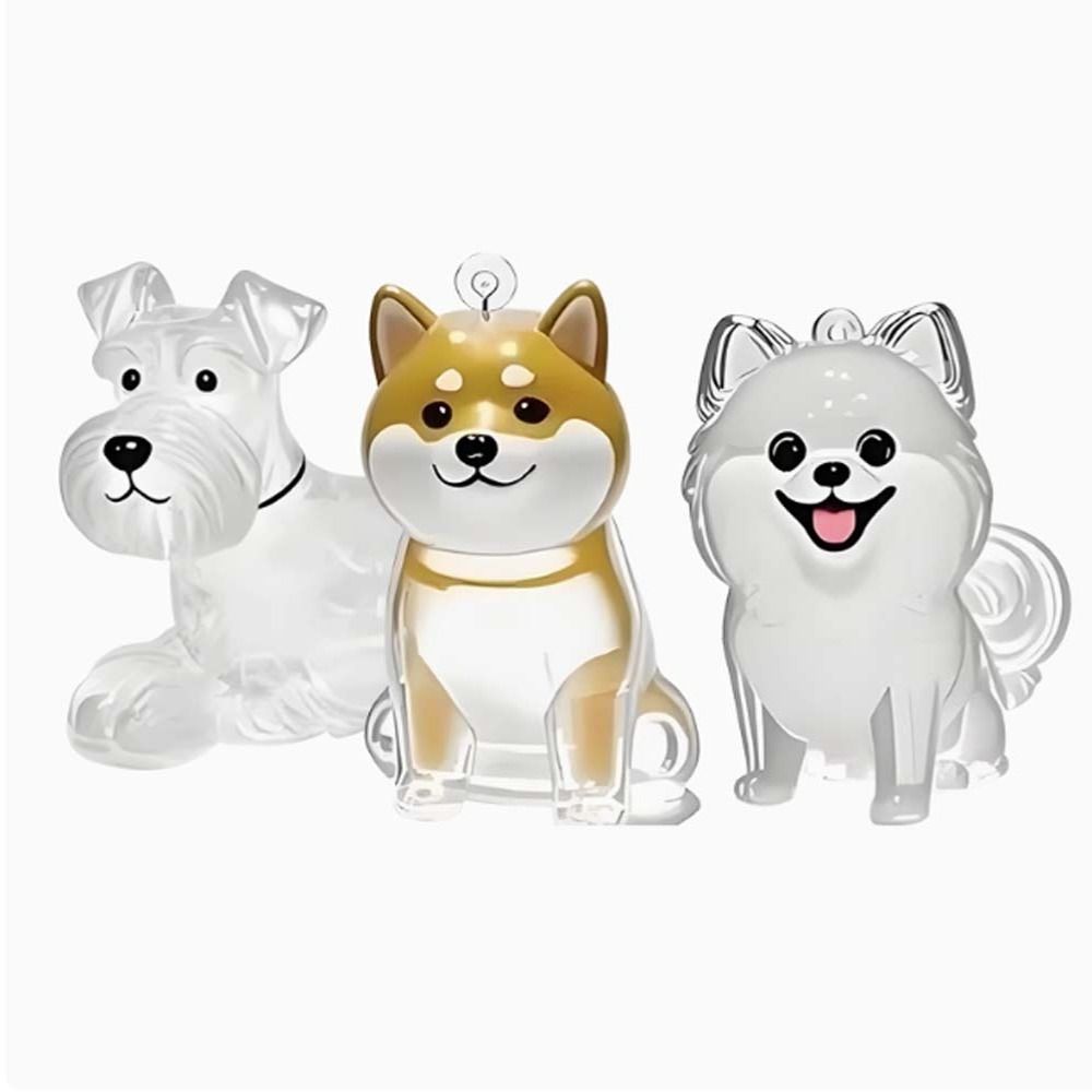 Scatola Trasparente per la Con - Pet Grooming recensione e prezzo