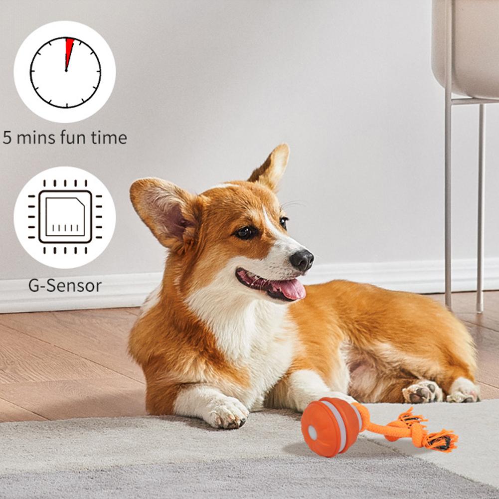 Palla per animali domestici pe - Automatic Moving Dog Ball recensione e prezzo