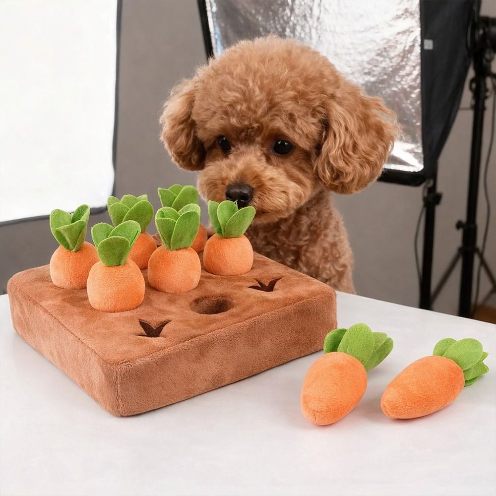 Tappetino interattivo a forma  - Snuffle Mat For Dogs recensione e prezzo