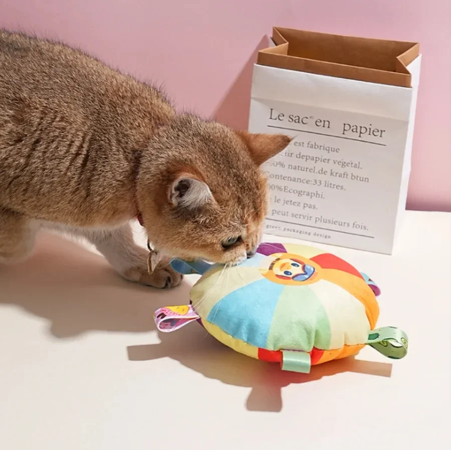 Il disco volante interattivo d - Flying Disc Dog Training Toy recensione e prezzo