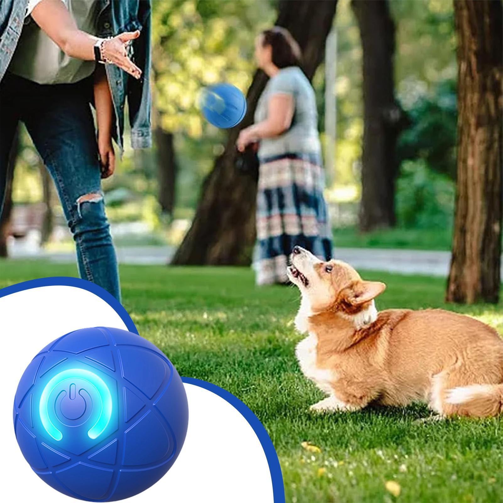 Giocattoli Interattivi Intelli - Automatic Moving Dog Ball recensione e prezzo