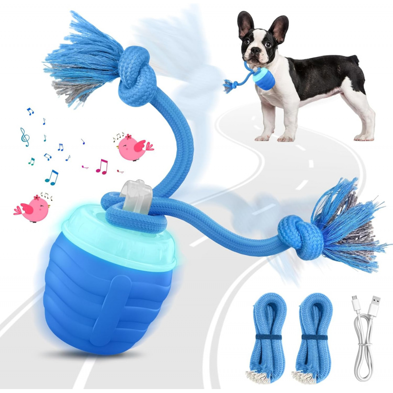 Giocattolo Interattivo Automat - Automatic Moving Dog Ball recensione e prezzo