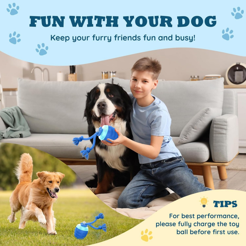 Giocattolo Interattivo Automat - Automatic Moving Dog Ball recensione e prezzo