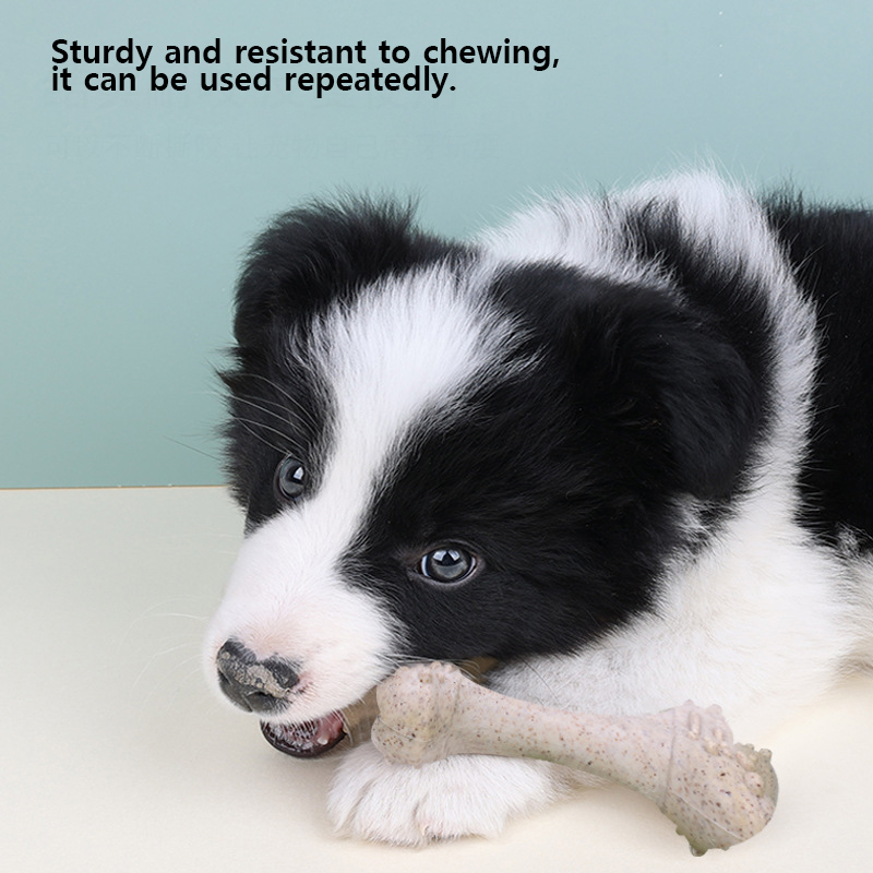 Giocattoli per animali domesti - Teeth Cleaning Dog Chew Bone recensione e prezzo