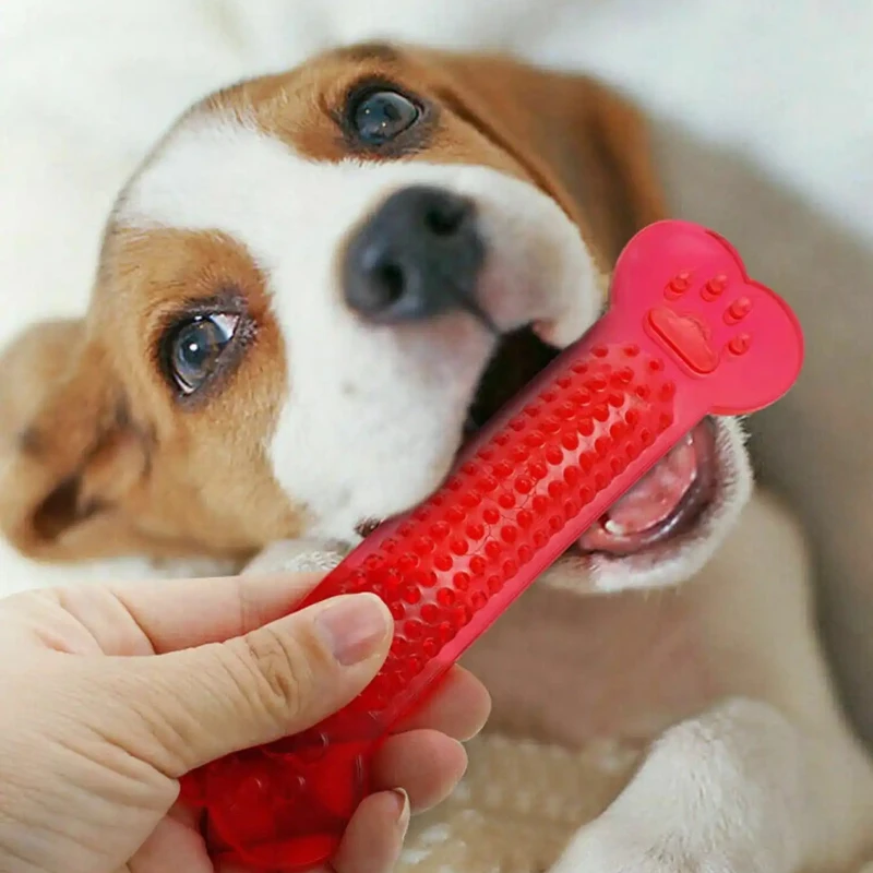 Giocattolo da masticare per os - Teeth Cleaning Dog Chew Bone recensione e prezzo