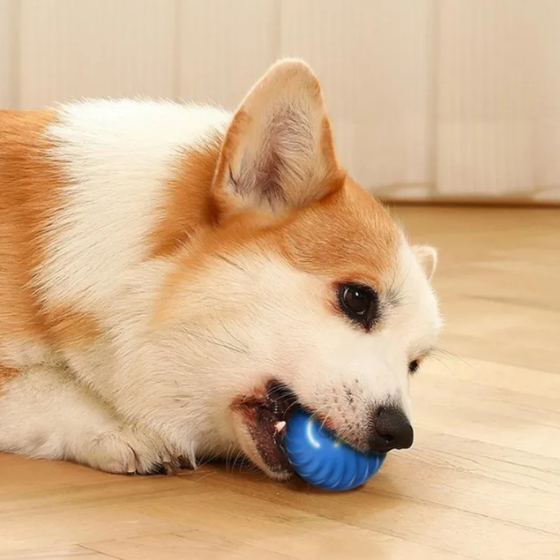 Palla giocattolo per animali d - Automatic Moving Dog Ball recensione e prezzo