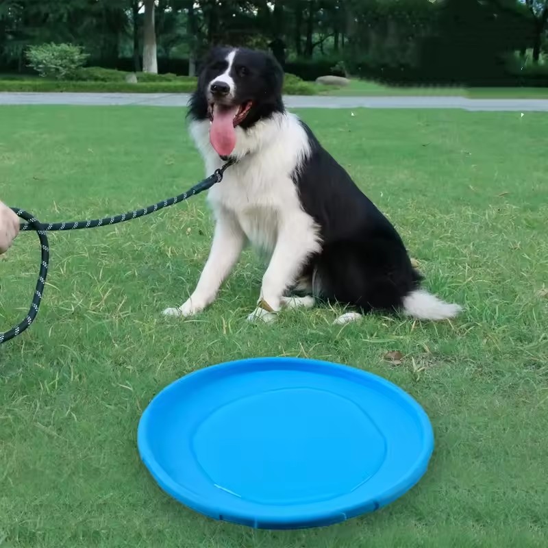 Giocattolo Interattivo a Forma - Flying Disc Dog Training Toy recensione e prezzo
