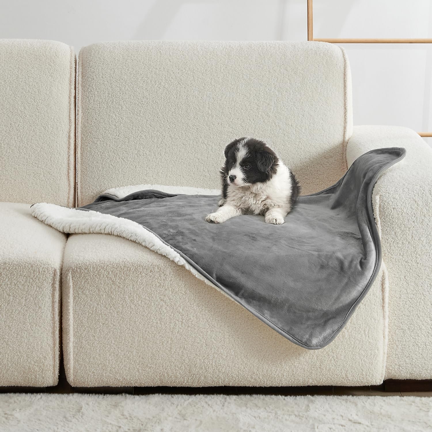 Coperta per Animali Domestici  - Pet Beds recensione e prezzo