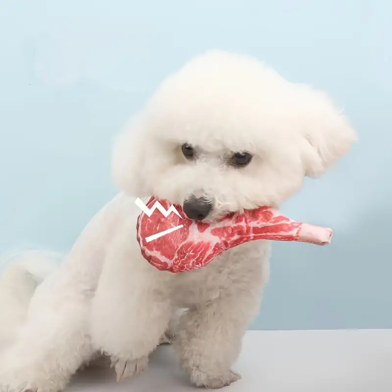 Giocattolo per cani a forma di - Teeth Cleaning Dog Chew Bone recensione e prezzo