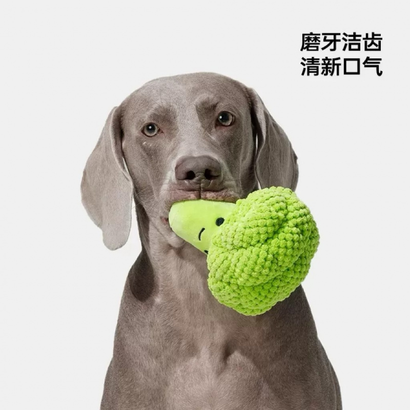 Giocattolo sonoro per cani per - Interactive Squeaky Plush Dog Toy recensione e prezzo