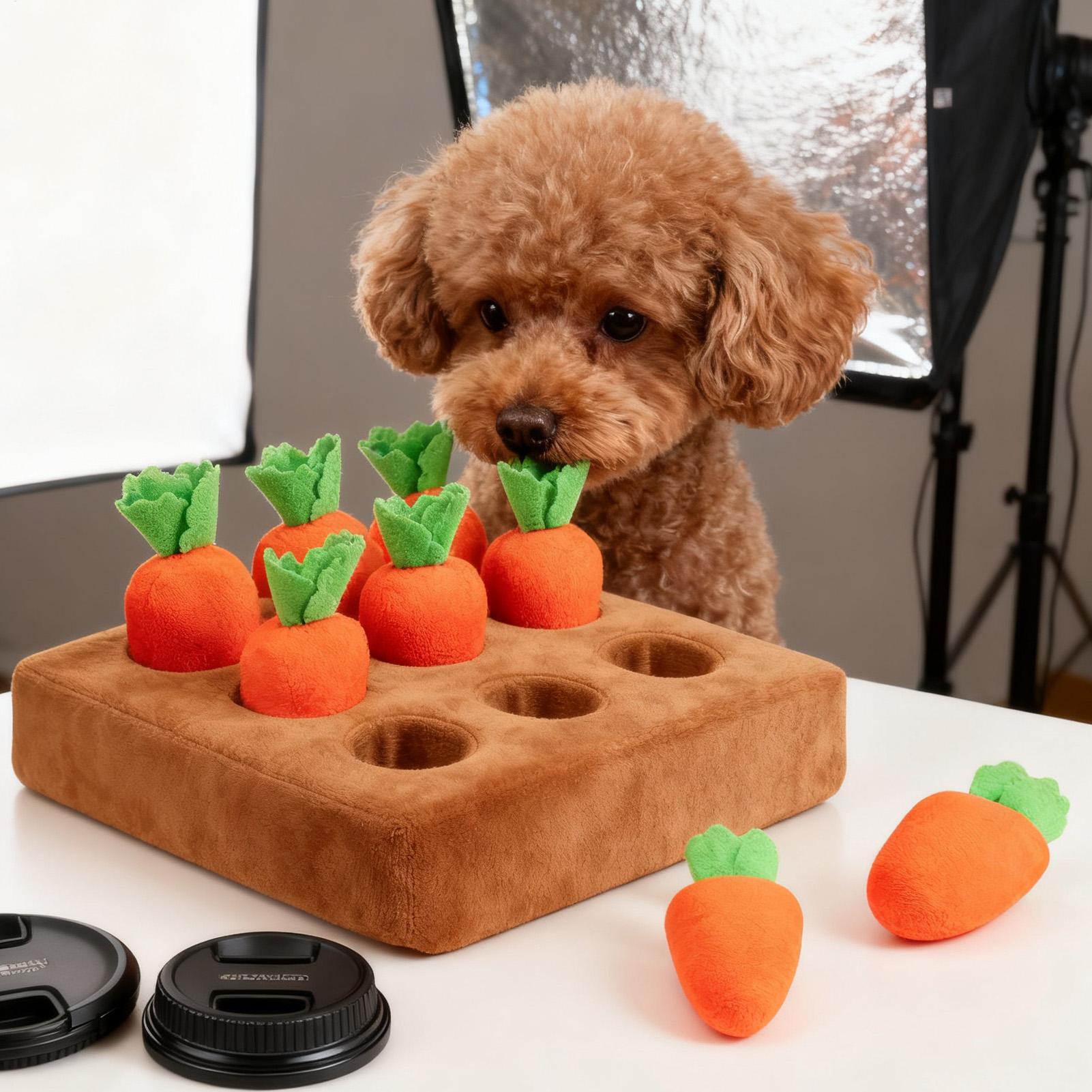 Tappetino Olfattivo per Cuccio - Snuffle Mat For Dogs recensione e prezzo