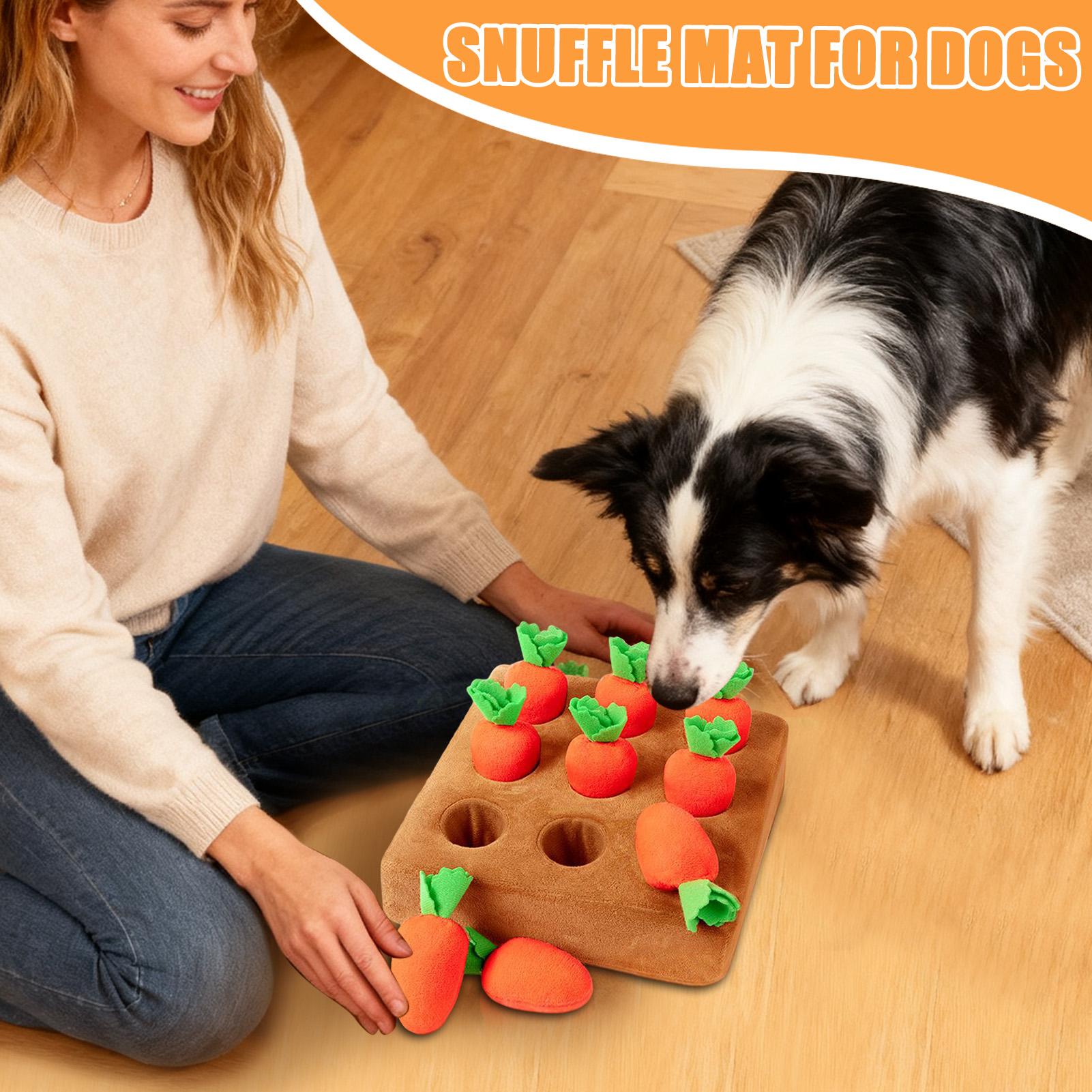Tappetino Olfattivo per Cuccio - Snuffle Mat For Dogs recensione e prezzo