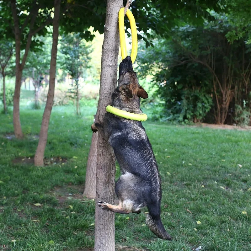 Giocattoli per cani dischi vol - Flying Disc Dog Training Toy recensione e prezzo