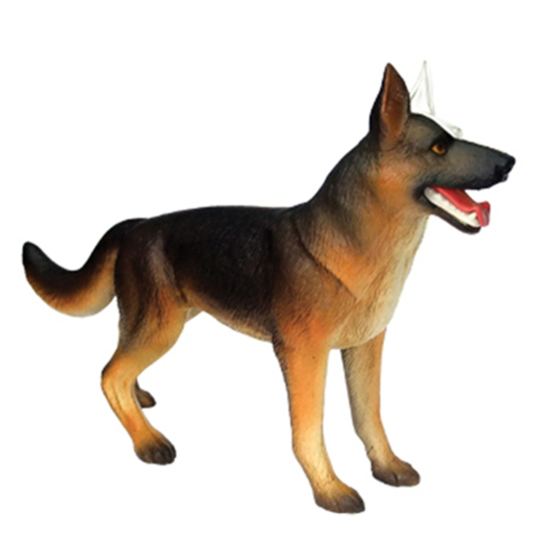 Modello Anatomico di Organi An - Dog Toys recensione e prezzo