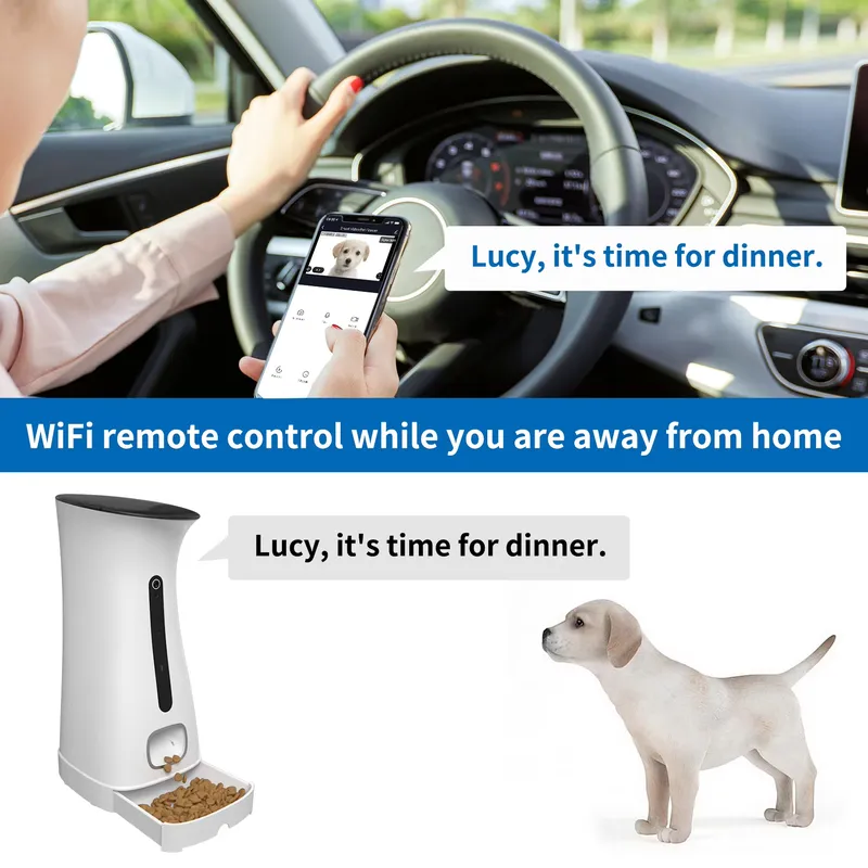 Telecamera Wi-Fi per alimentat - Pet Feeders recensione e prezzo