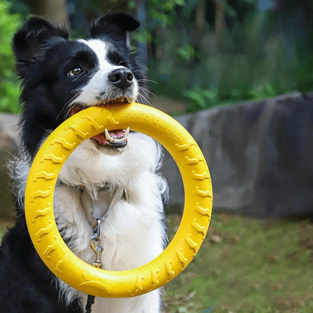 Anelli Giocattolo per Cani Ind - Indestructible Dog Chew Toy recensione e prezzo