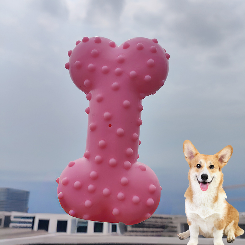 Giocattolo per cani Suono di g - Teeth Cleaning Dog Chew Bone recensione e prezzo
