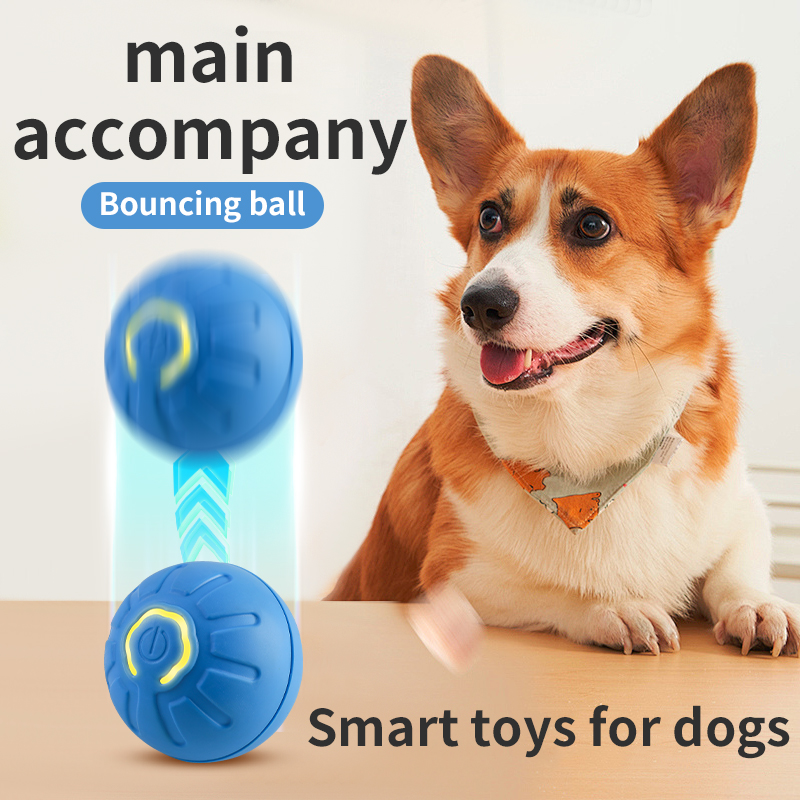 Palla giocattolo per cani in m - Automatic Moving Dog Ball recensione e prezzo