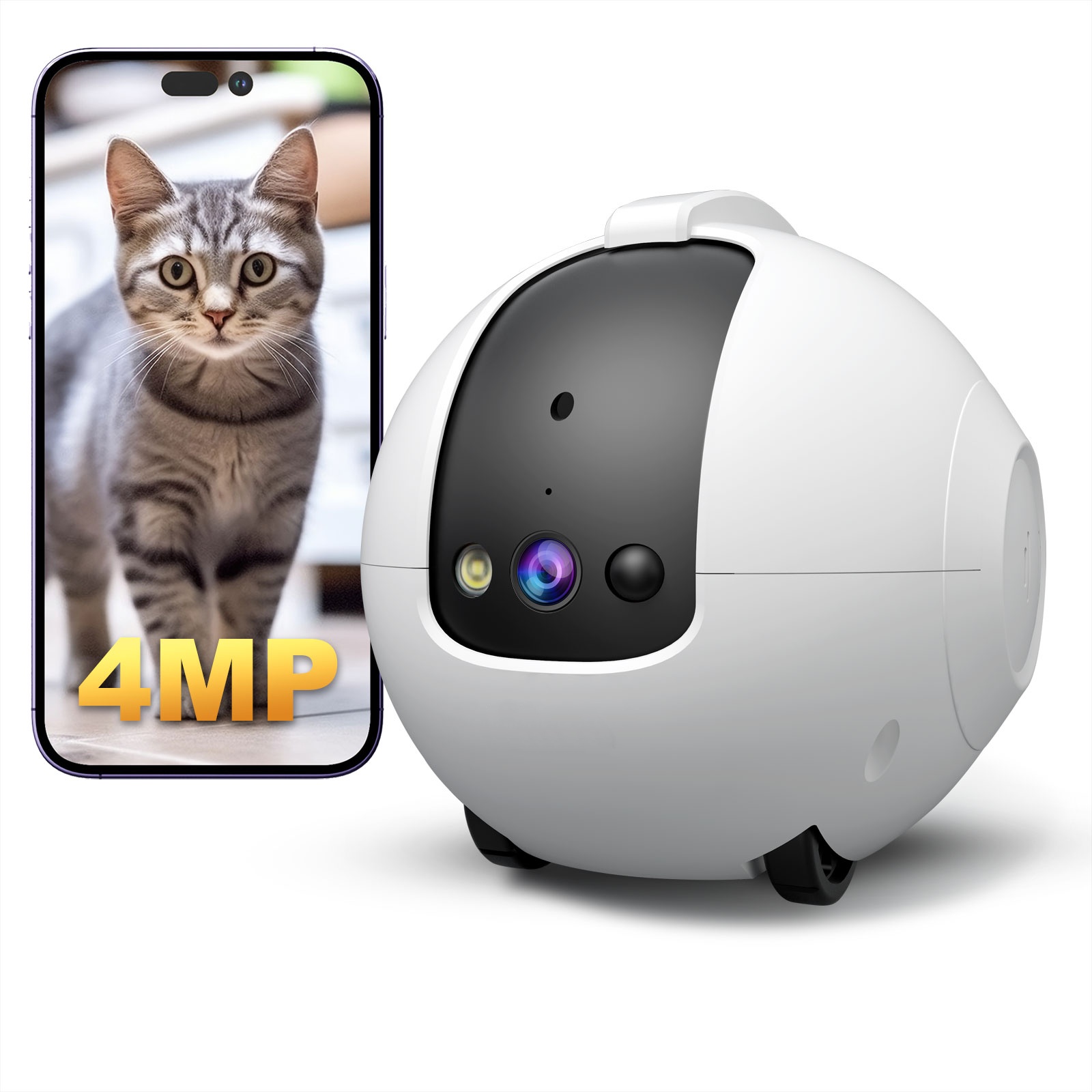 Telecamera robot per animali d - Dog Toys recensione e prezzo